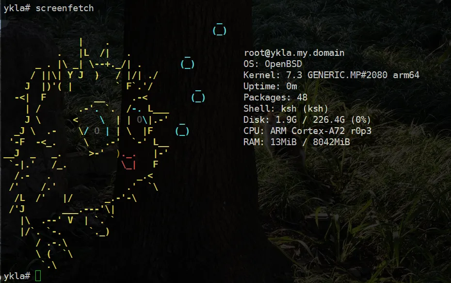 OpenBSD 7.3 on Raspberry Pi 4